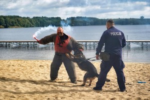 policjant trzyma psa na smyczy, który gryzie pozoranta trzymającego w ręce racę dymną
