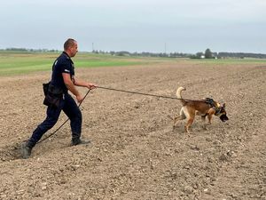 Policjant prowadzi na smyczy psa służbowego