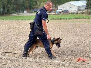Policjant prowadzi na smyczy psa służbowego