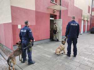 policjanci wchodzą wraz z psami do budynku