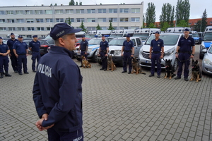 w eliminacjach biorą udział przewodnicy wraz z psami służbowymi kategorii do wyszukiwania zapachów narkotyków oraz do wyszukiwania zapachów materiałów wybuchowych z komend miejskich i powiatowych policji garnizonu kujawsko pomorskiego.