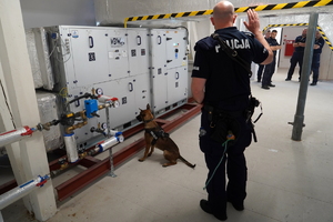 w eliminacjach biorą udział przewodnicy wraz z psami służbowymi kategorii do wyszukiwania zapachów narkotyków oraz do wyszukiwania zapachów materiałów wybuchowych z komend miejskich i powiatowych policji garnizonu kujawsko pomorskiego