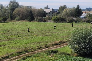 Widok na pole po którym idą osoby poszukujące zaginioną