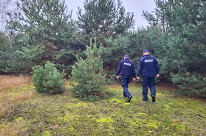 Policjanci podczas kontroli sprzedaży choinek.