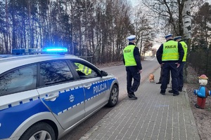 policjanci prowadzą działania "Bezpieczny pieszy"