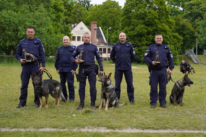 policjanci z psami pozują do zdjęcia