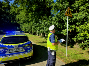 Policjanci podczas kontroli infrastruktury drogowej