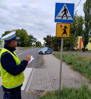 Policjanci podczas kontroli infrastruktury drogowej