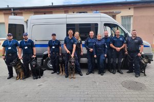 policjanci podczas szkolenia z psami