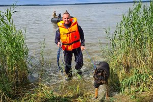 policjanci podczas szkolenia z psami