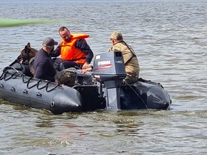 policjanci podczas szkolenia z psami
