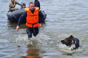 policjanci podczas szkolenia z psami