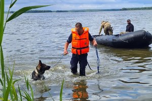 policjanci podczas szkolenia z psami