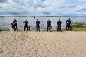 policjanci podczas szkolenia z psami