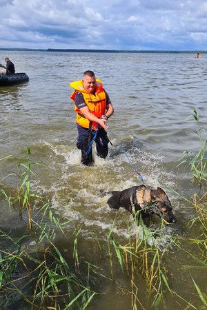 policjanci podczas szkolenia z psami
