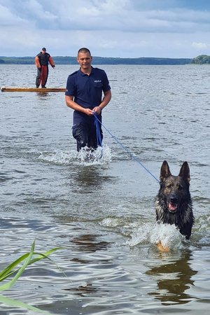 policjanci podczas szkolenia z psami