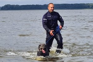 policjanci podczas szkolenia z psami