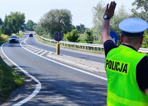 Policjant podczas działań na drodze.