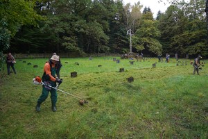 Wolontariusze w roboczych ubraniach koszą trawę na dawnym cmentarzu wojennym, poruszając się rzędami między małymi nagrobkami. Za nimi widać ogrodzenie i gęste drzewa tworzące tło miejsca.