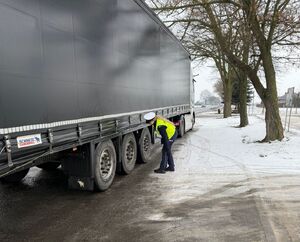 Działania Truck&amp;Bus