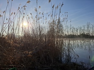 widok na rzekę i wędkę