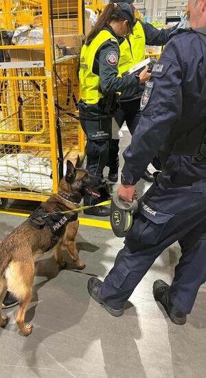 funkcjonariuszy KAS i policjanta z psem służbowym