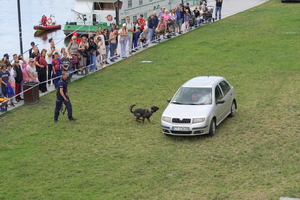 Festyn inaugurujący Wojewódzkie Obchody Święta Policji kujawsko-pomorskiego garnizonu w Toruniu. Rozpoczęcie festynu przez służby. Stoiska służb odwiedzają osoby