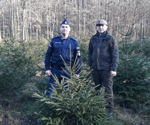 Policjant i leśnik podczas patrolu miejsca, gdzie rosną choinki.