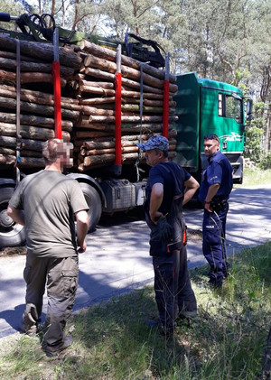 Policjant i strażnik leśny rozmawiają z kierowcą samochodu ciężarowego, który stoi w tle. Jest załadowany drewnem.