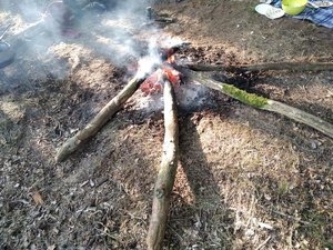 Rozpalone ognisko w lesie.