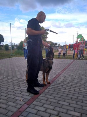 Policjant przewodnik psa służbowego wraz ze swoim podopiecznym stoją na placu.