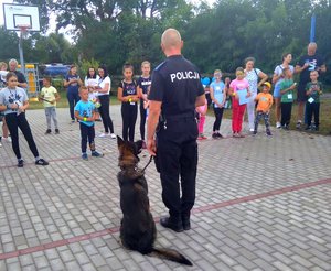 Policjant wraz ze swoim psem prezentuje wykonywanie przez czworonoga komend.