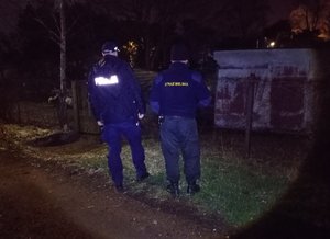 Policjanci podczas kontroli ogródków działkowych.
