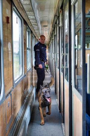 Pies idzie korytarzem pociągu. Przygląda się temu policjant stojący za nim.