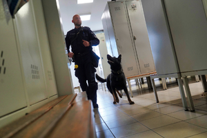 Policjant trzyma psa na smyczy idąc przez pomieszczenie firmy.