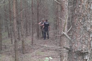 policjantka i strażnik leśny stoją w lesie