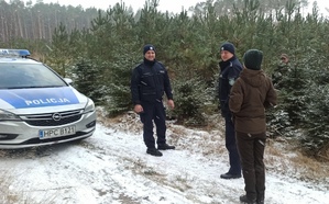 policjanci i leśnicy podczas kontroli lasu