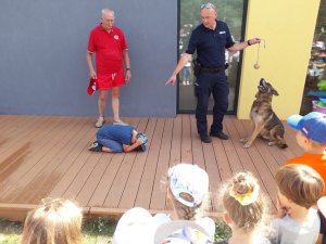 Dziecko w obecności przewodnika i policyjnego psa służbowego prezentuje tak zwaną pozycję żółwia