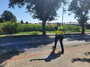 policjant zatrzymuje pojazd