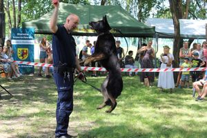 Policjant pokazuje co umie policyjny pies