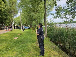 Pokaz tresury psów służbowych